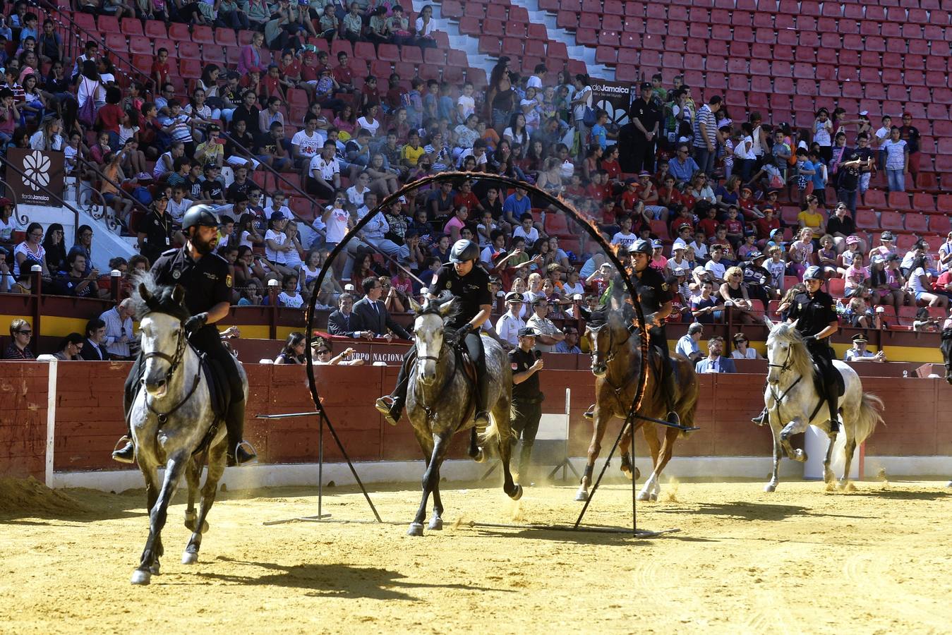 La Policía exhibe sus &#039;armas&#039;