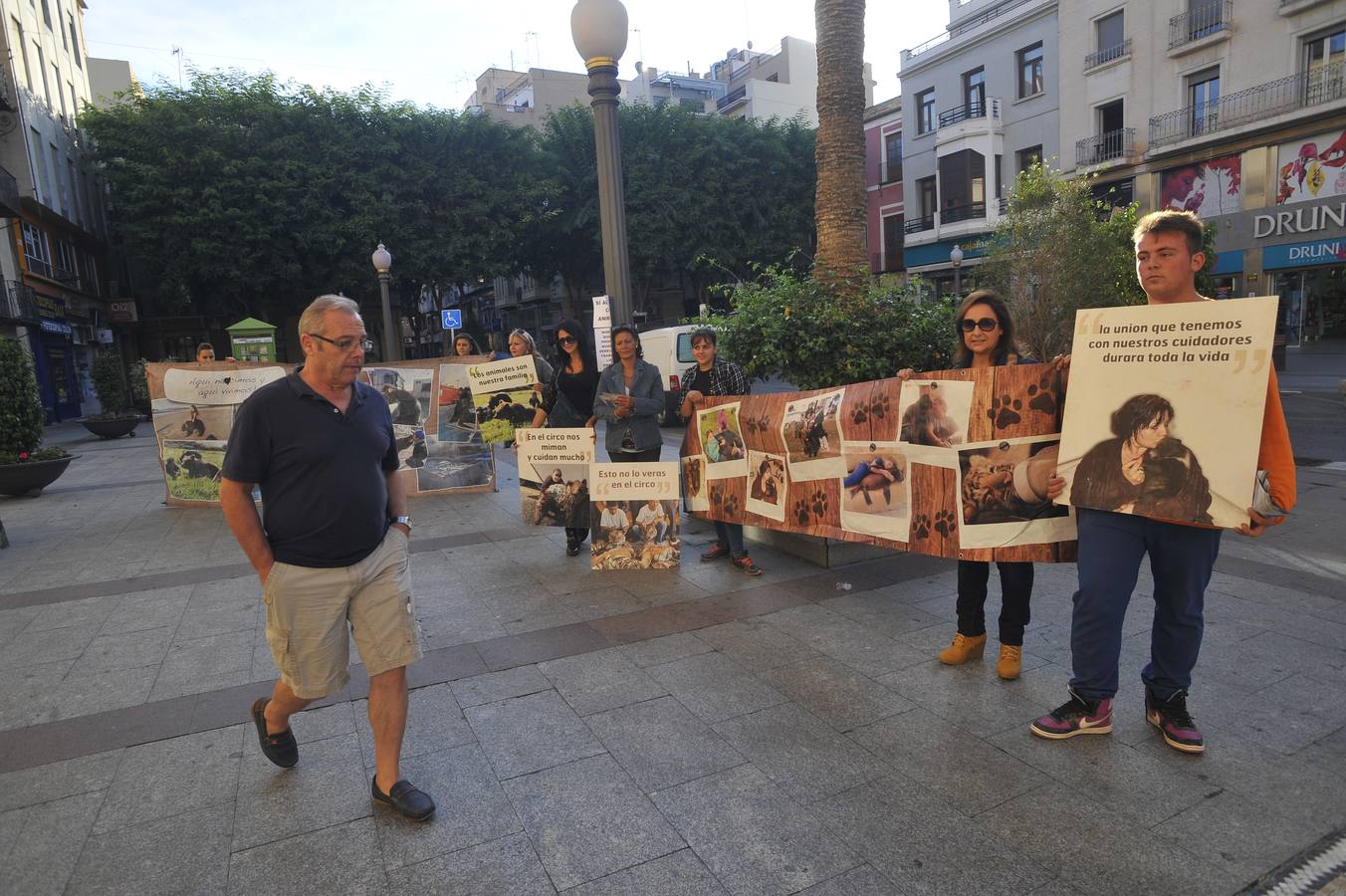 Pleno en el Ayuntamiento de Elche