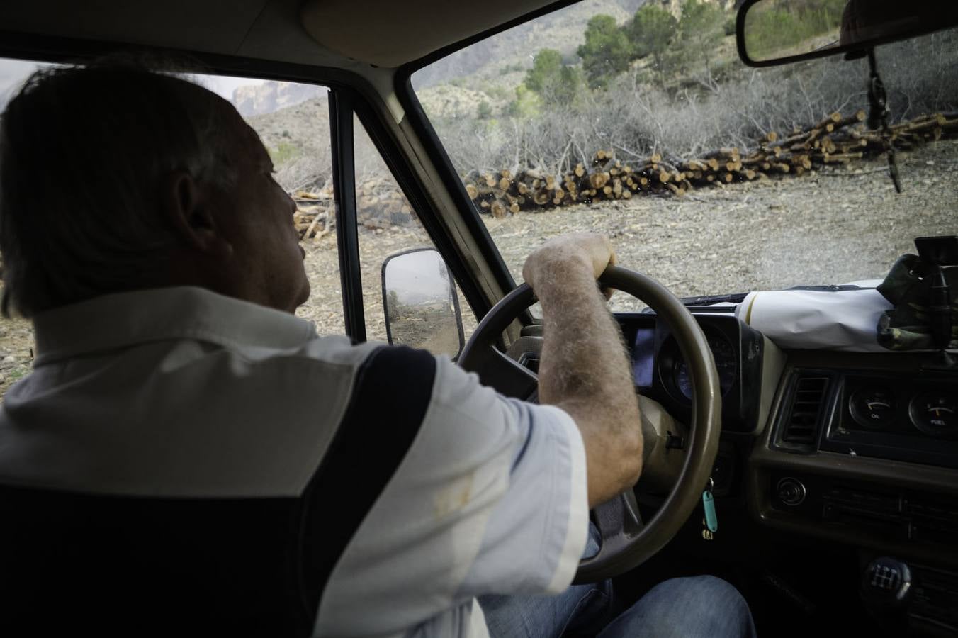 Critican los daños ocasionados al terreno por el arrastre de pinos con &#039;tomicus&#039;