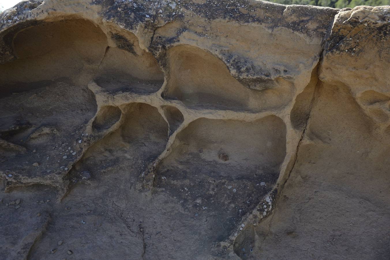 El desafío de las murallas de King Kong. Erosión alveolar en una de las paredes que se encuentran en la ruta.