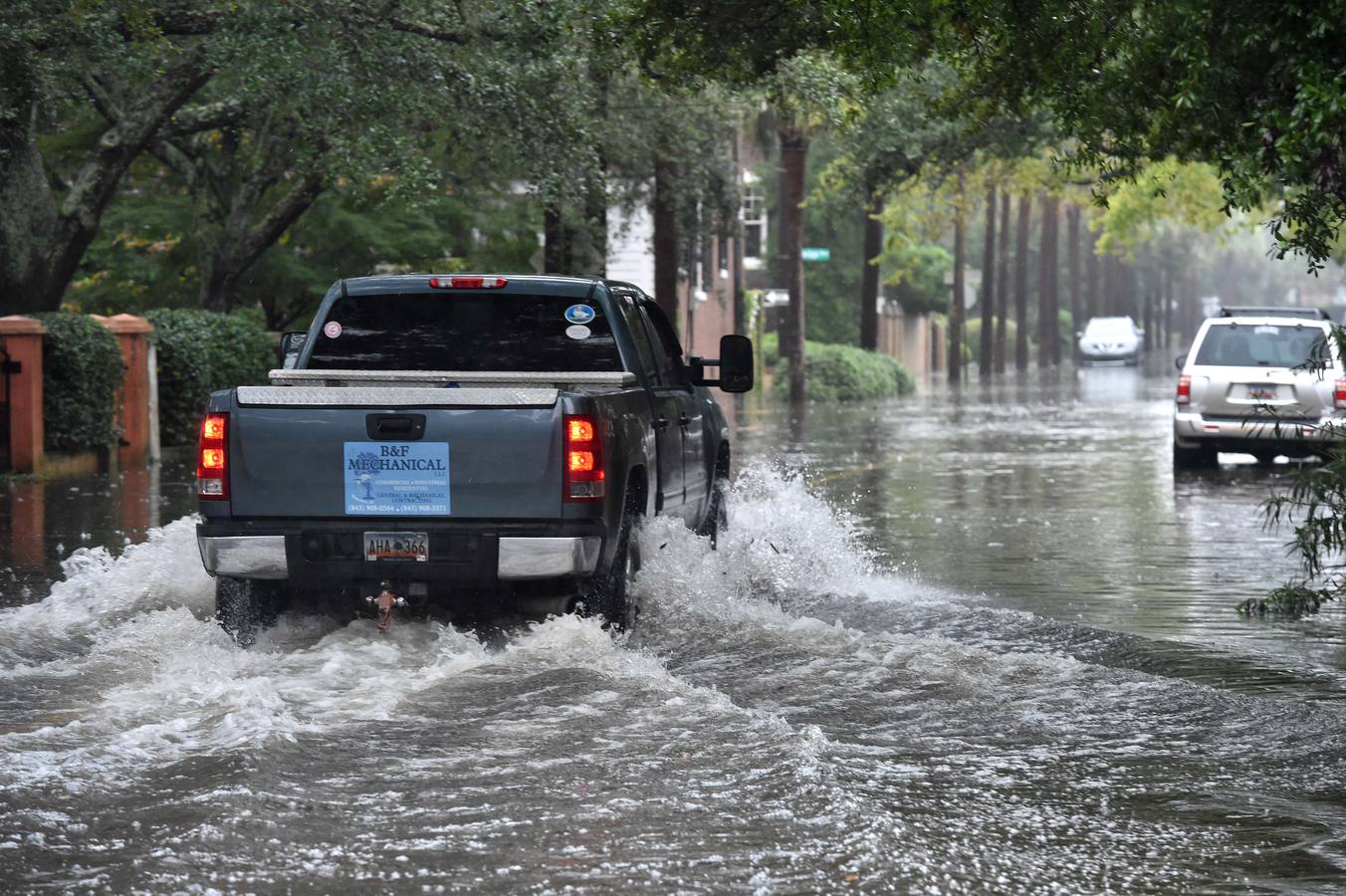 Charleston pasada por agua