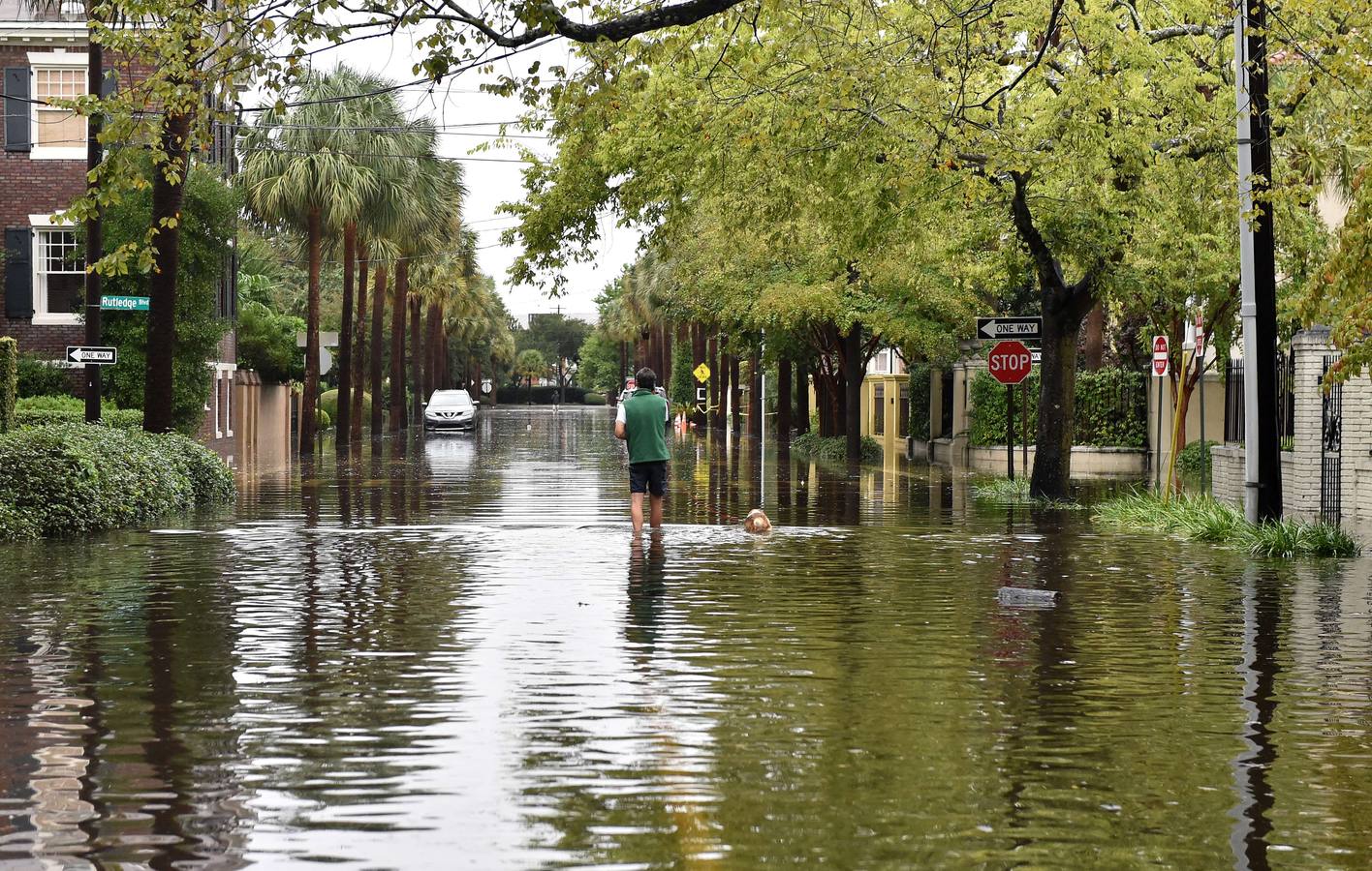 Charleston pasada por agua