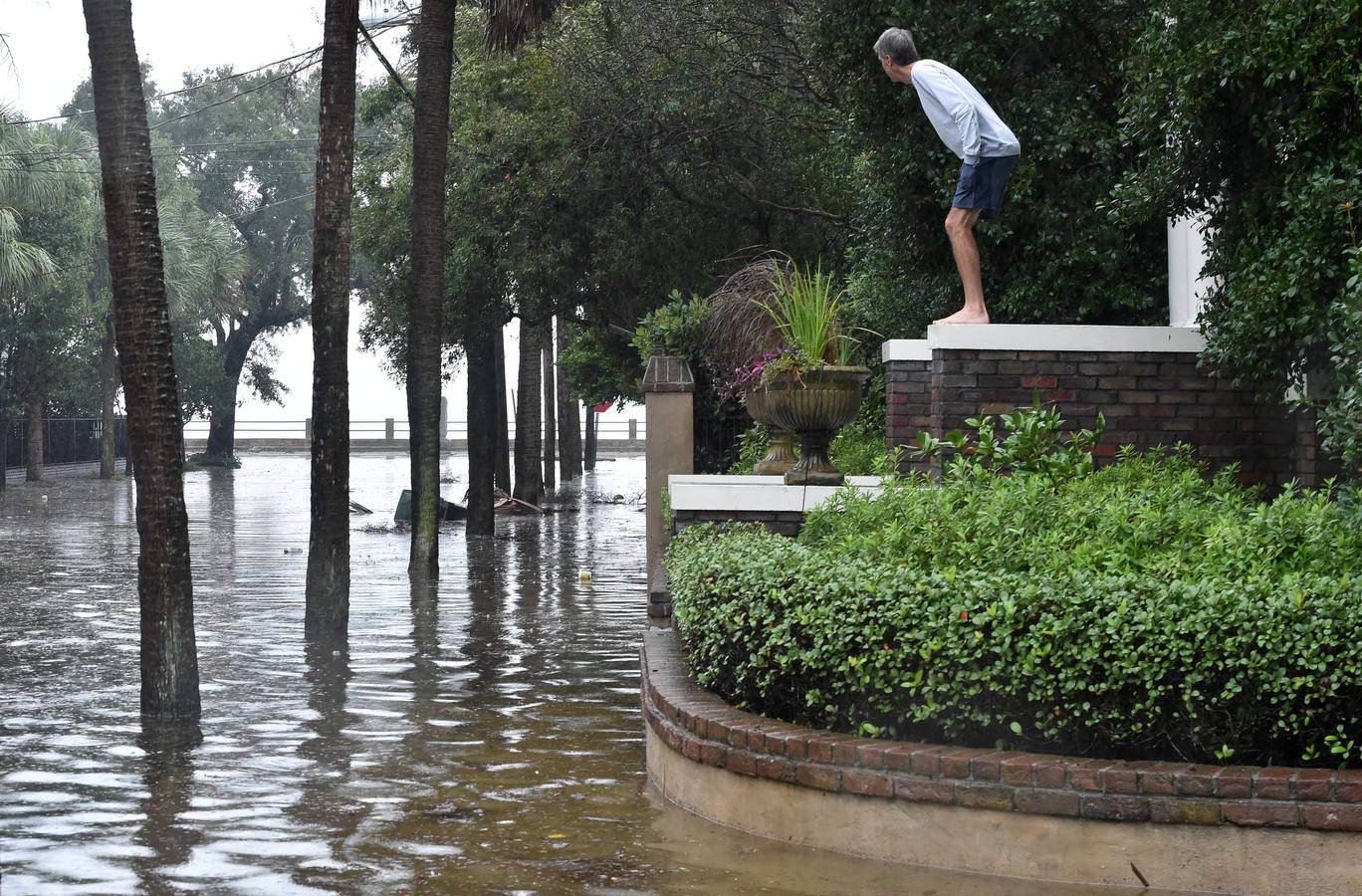 Charleston pasada por agua