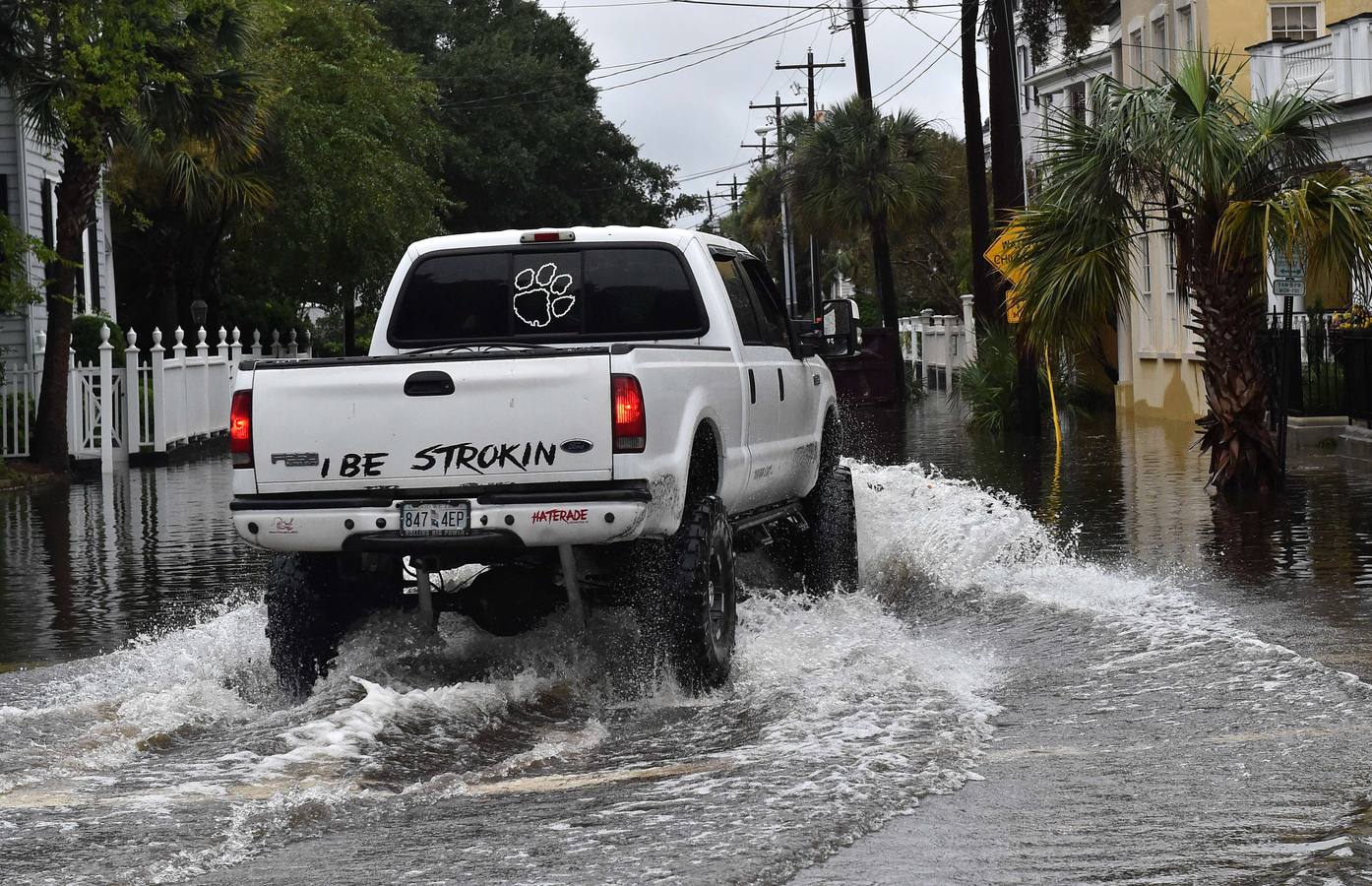 Charleston pasada por agua