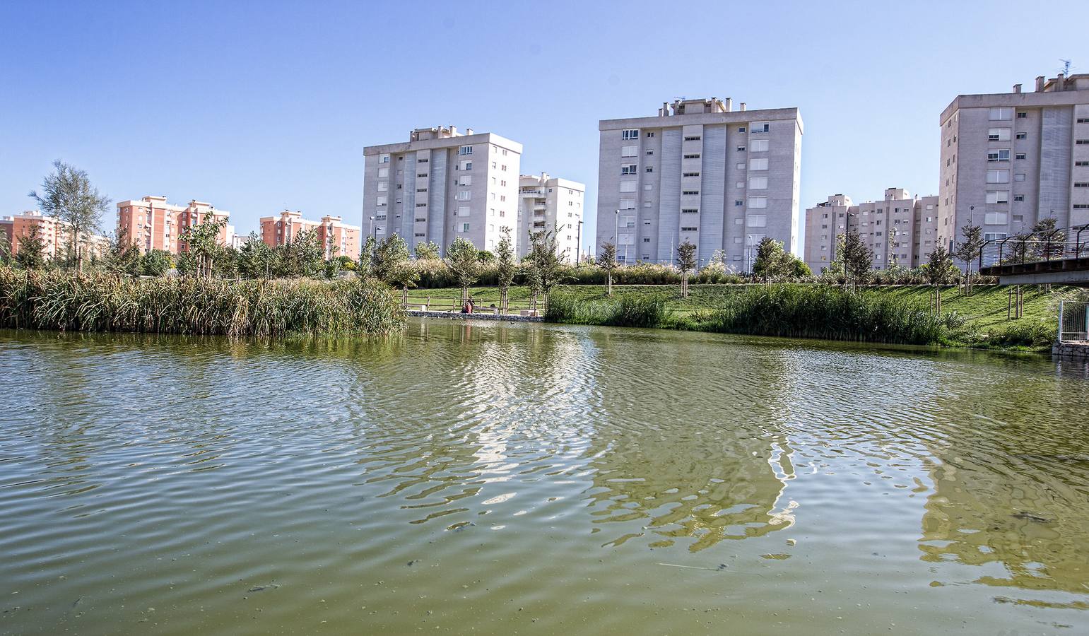 El parque de La Marjal evita nuevas inundaciones en la Playa de San Juan