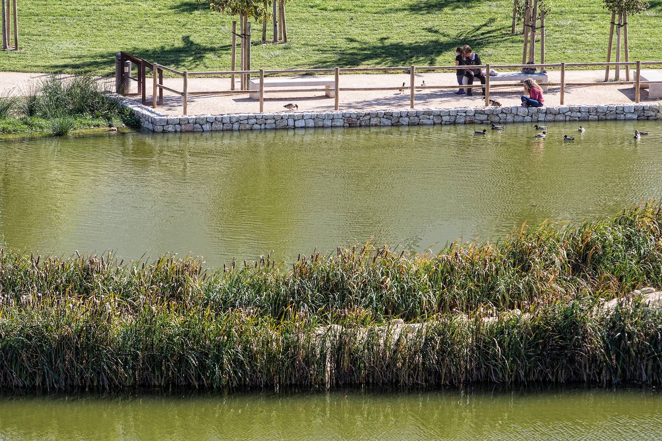 El parque de La Marjal evita nuevas inundaciones en la Playa de San Juan