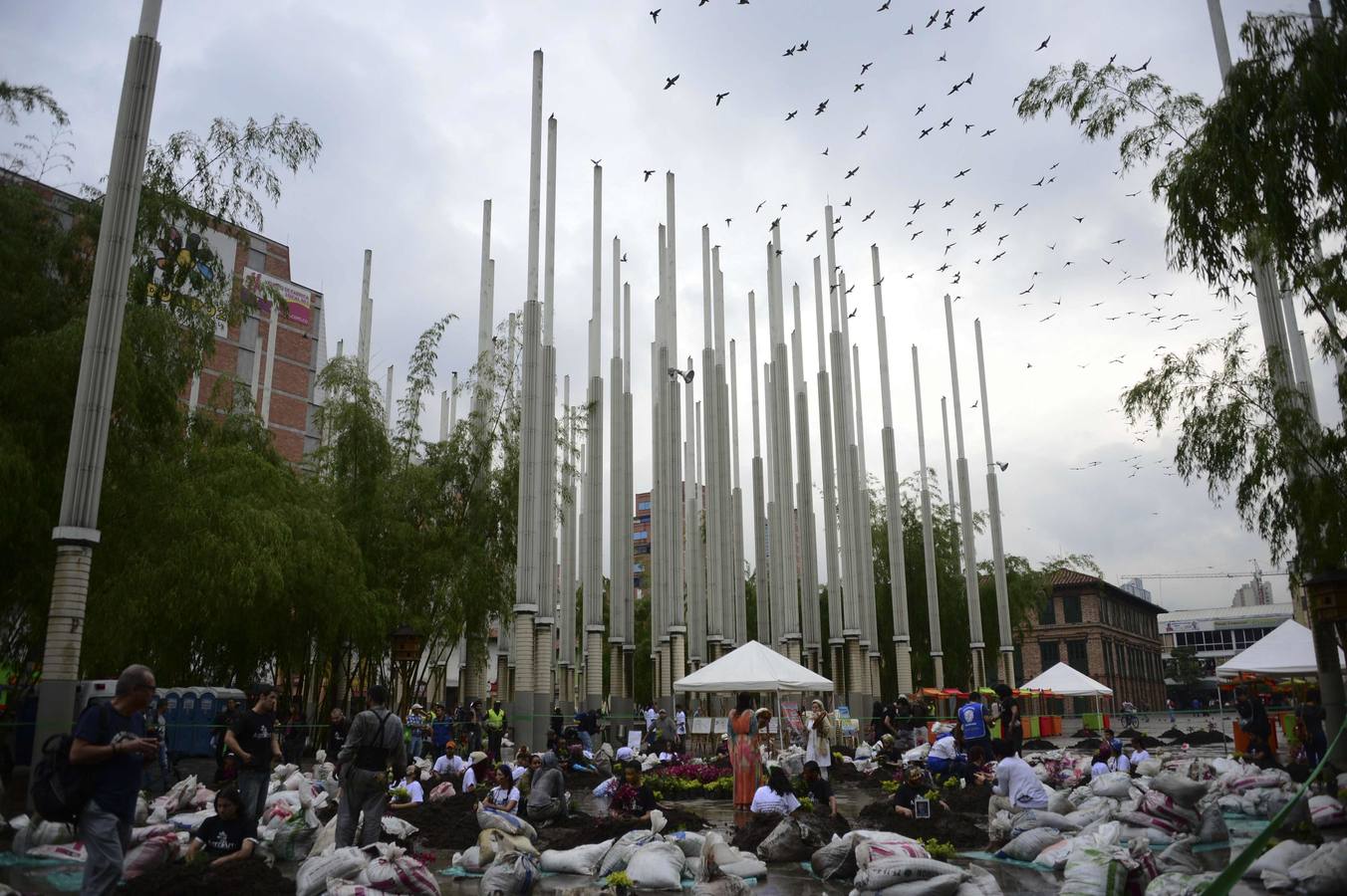 13 años bajo tierra