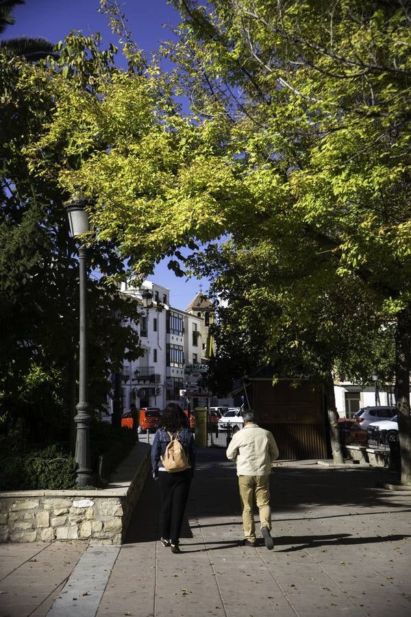 Quesada acoge el museo que muestra el legado hernandiano