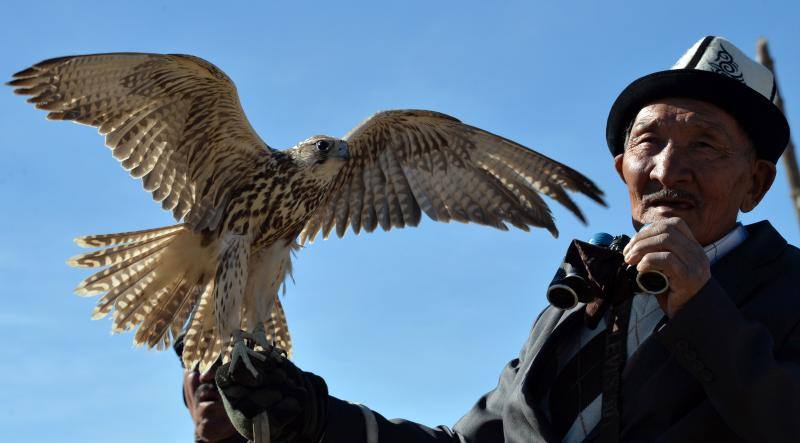 Cazador de altos vuelos