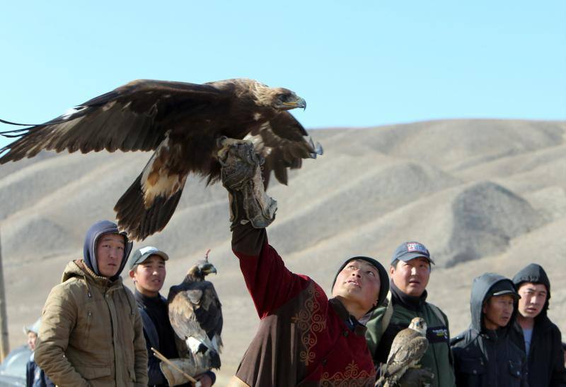 Cazador de altos vuelos