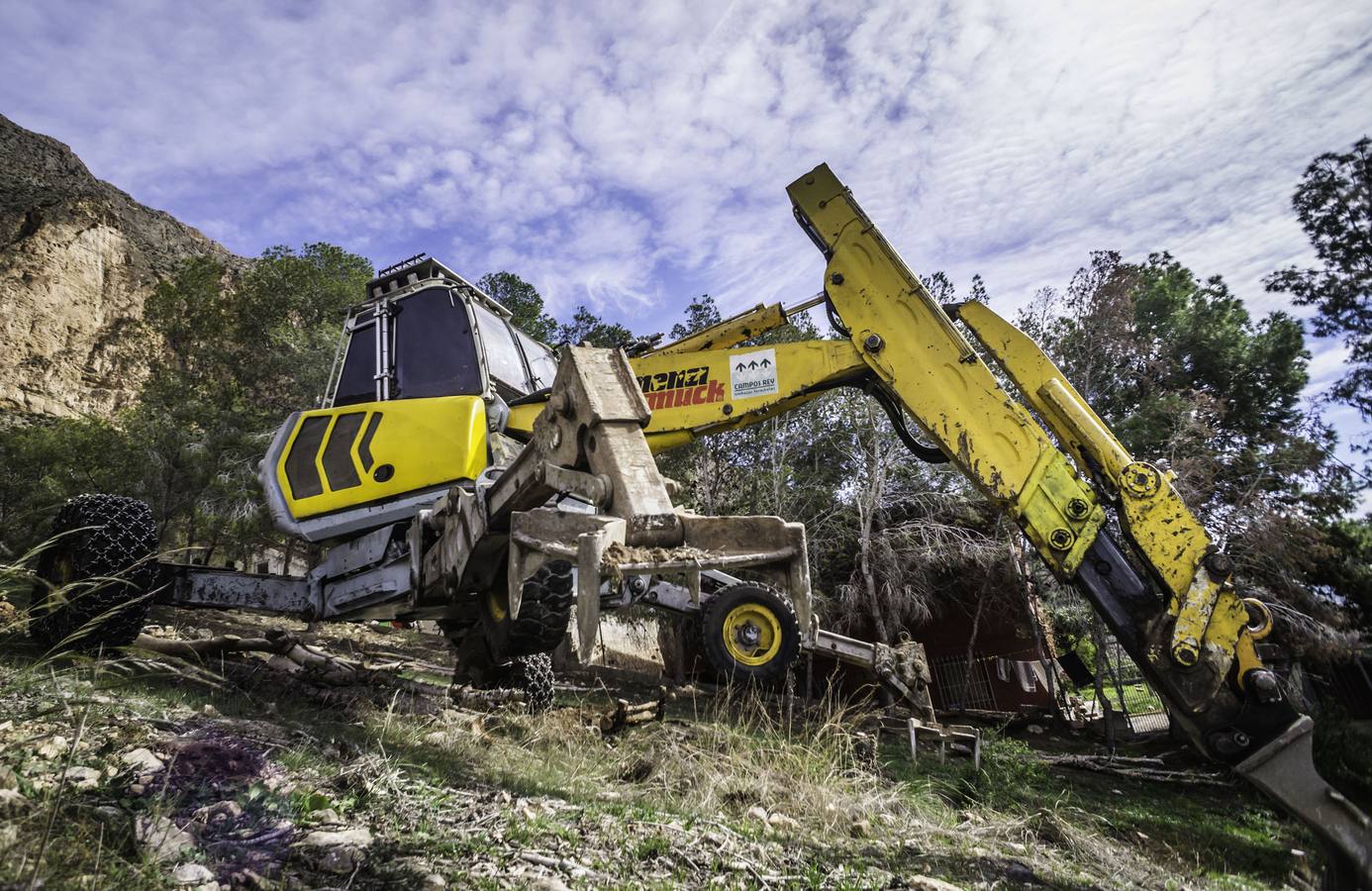 Un escavadora astillará todos los árboles arrasados por el tomicus