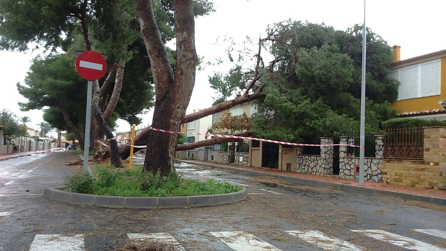 El temporal causa destrozos materiales en Torrevieja