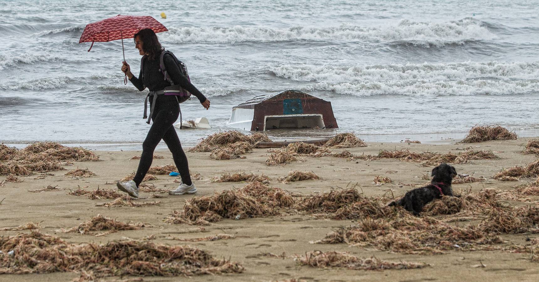 El temporal causa destrozos, suspende clases y deja más de 100 litros en 12 horas