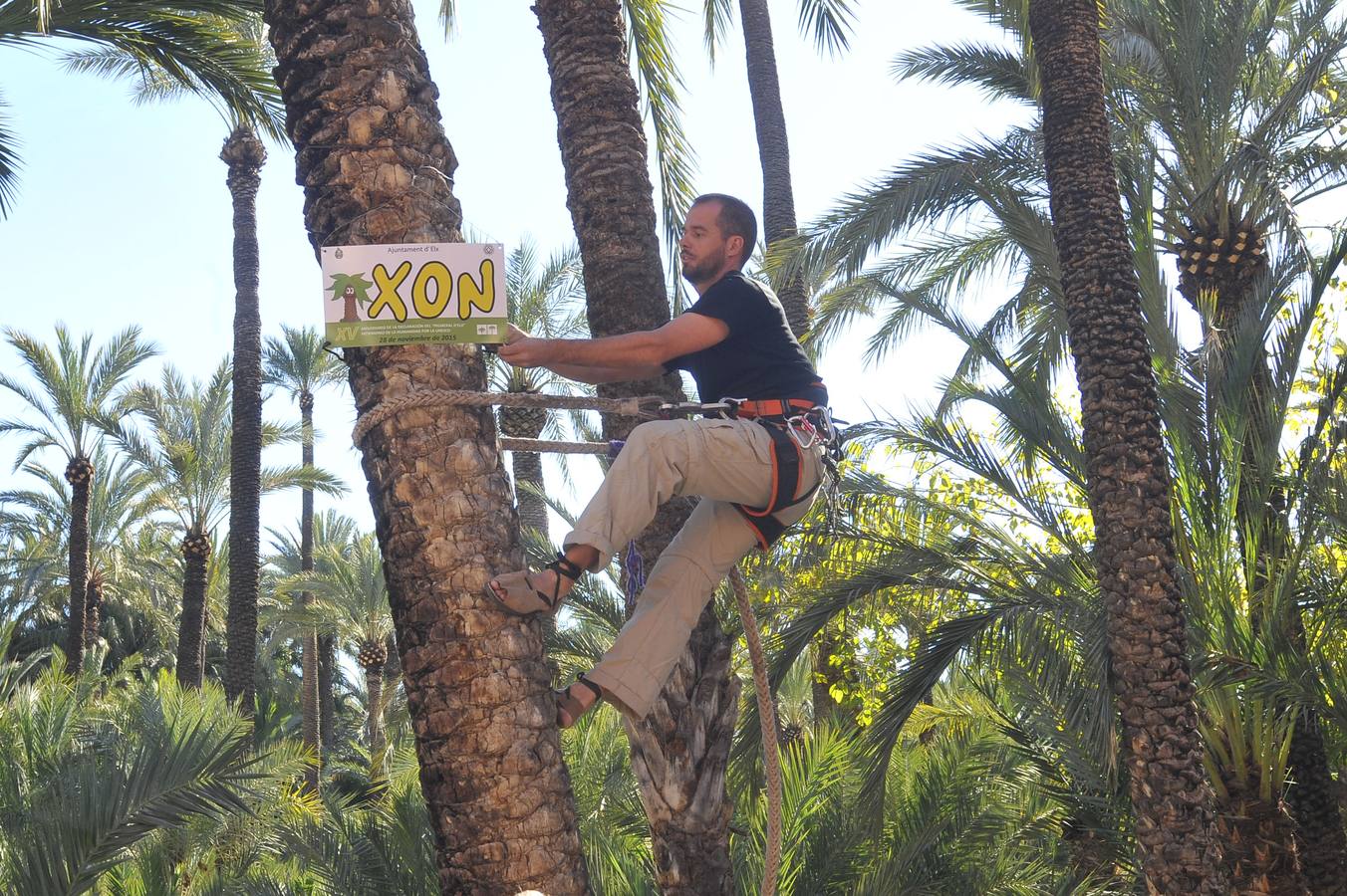 XV aniversario del Palmeral como Patrimonio de la Humanidad