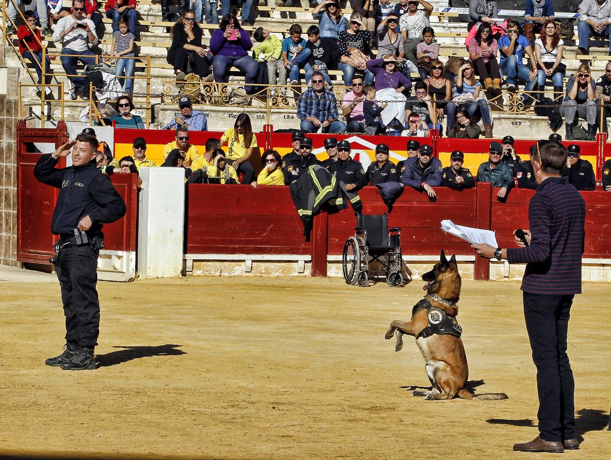 Cinco mil personas acuden a la jornada de recogida de juguetes en Alicante