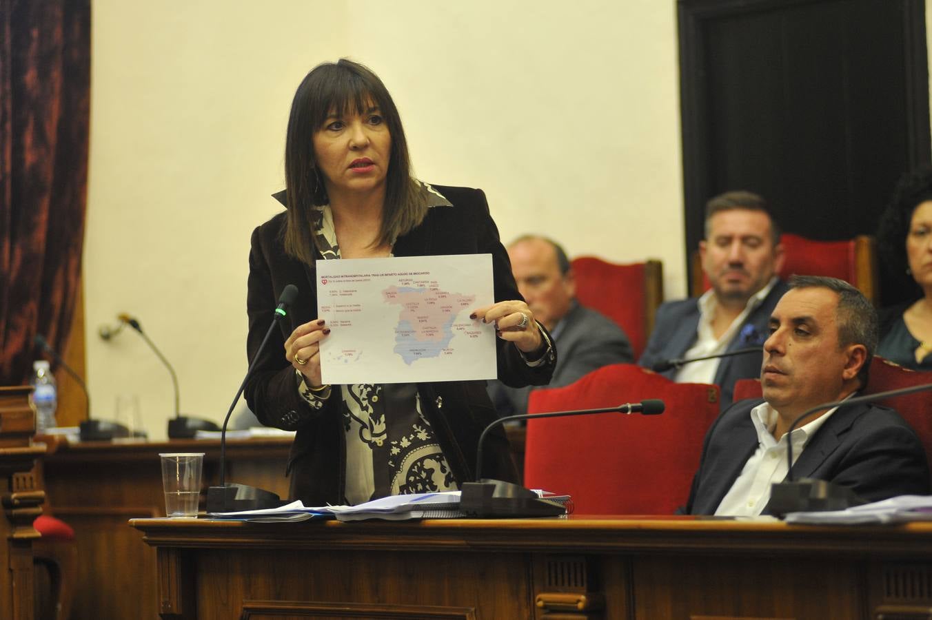 Pleno en el Ayuntamiento de Elche