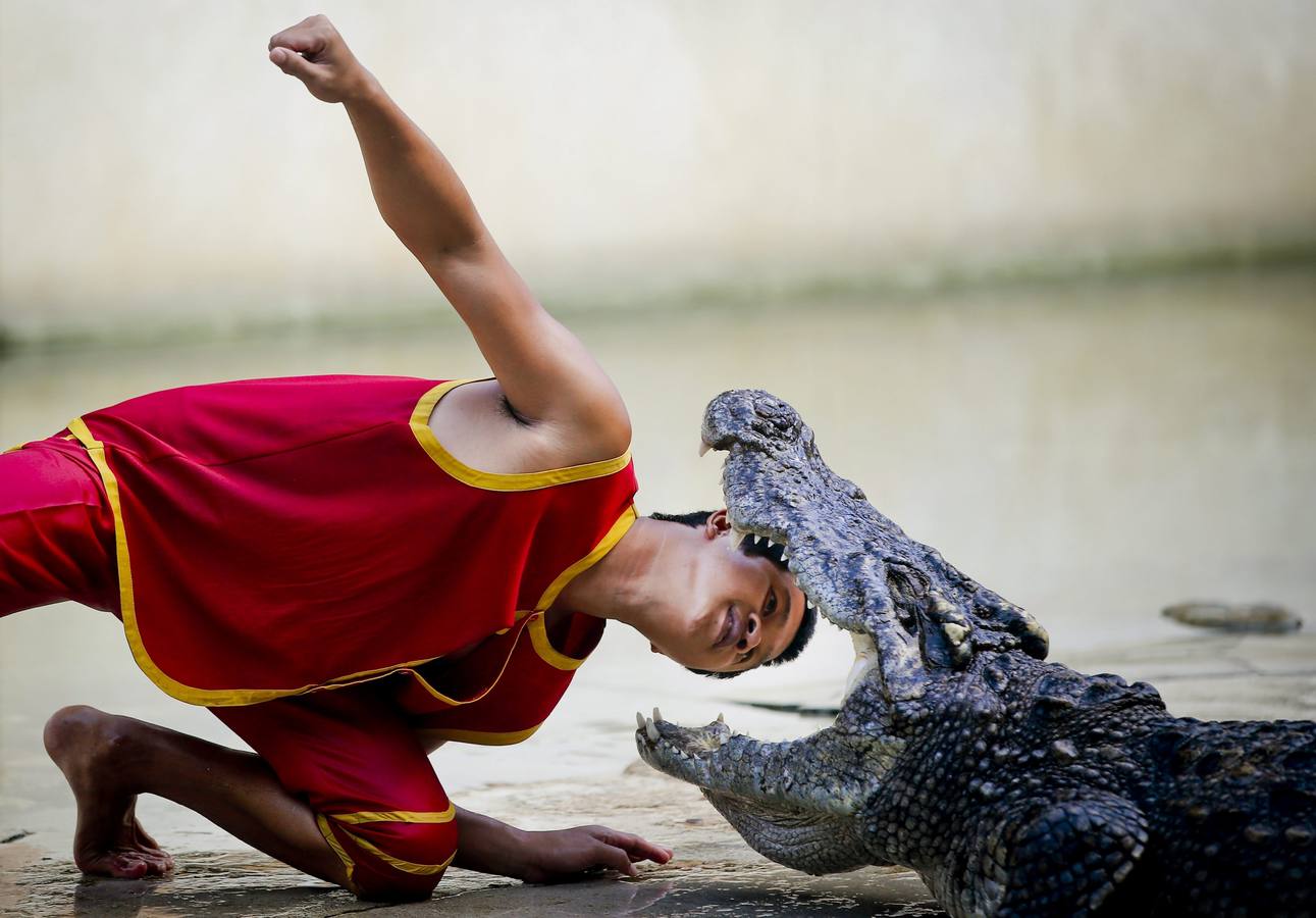 Trabajando entre dientes