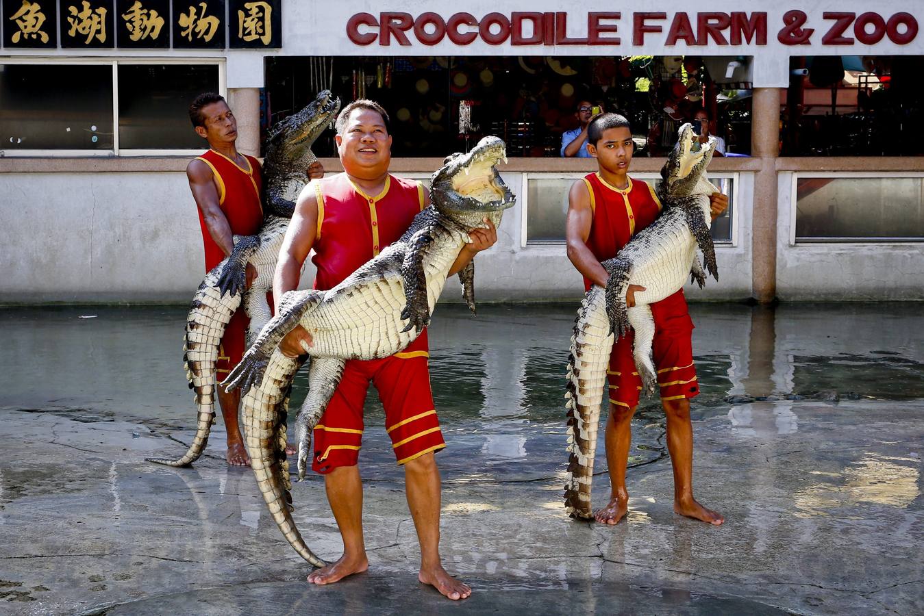 Trabajando entre dientes