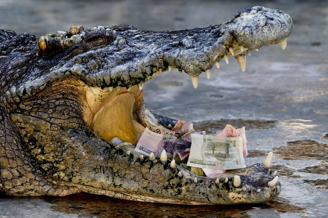 Trabajando entre dientes