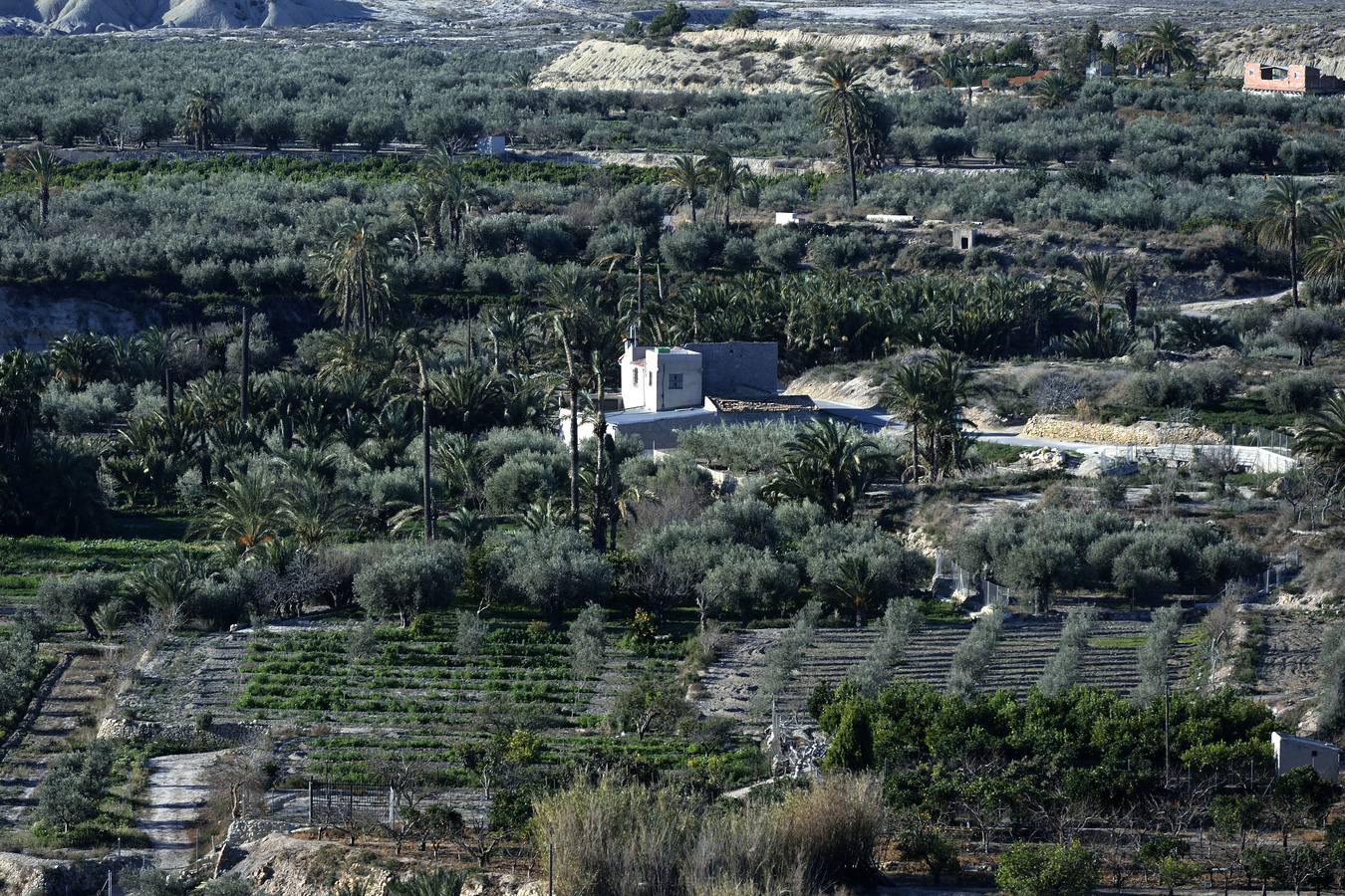 Vista general de la Huerta de Abajo desde la ermita de Abanilla.