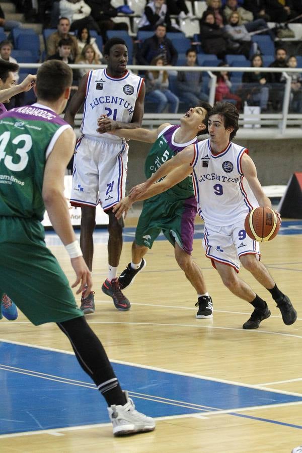 Las mejores imágenes del Lucentum - Clínicas Rincón (78-72)