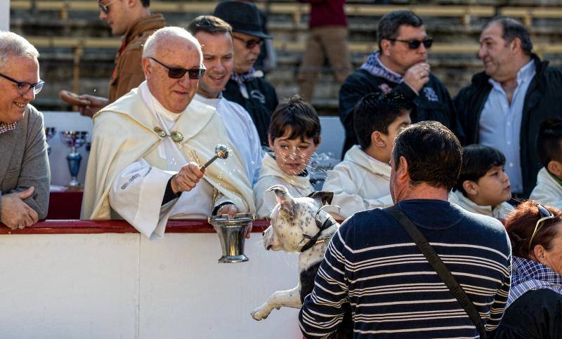 Bendición de mascotas en la Plaza de Toros de Alicante