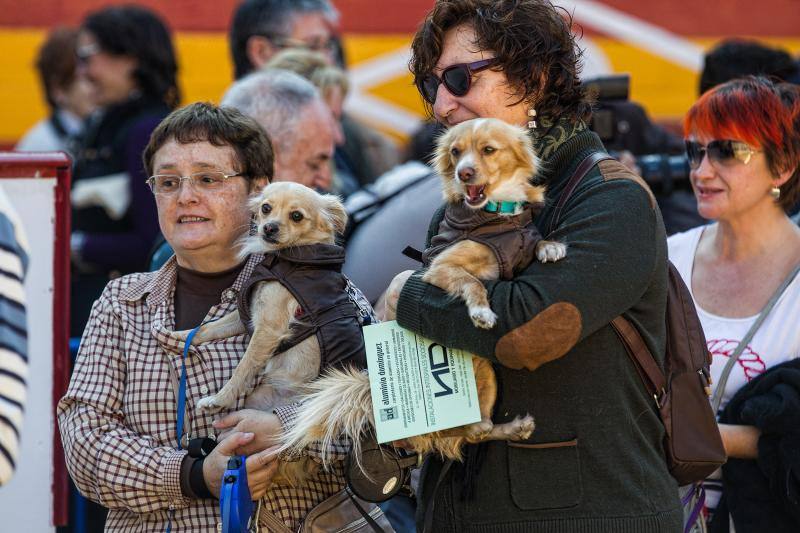 Bendición de mascotas en la Plaza de Toros de Alicante