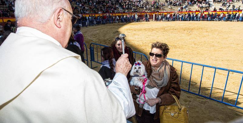 Bendición de mascotas en la Plaza de Toros de Alicante