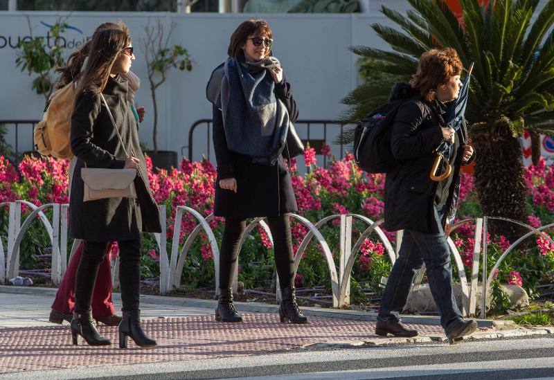 El viento pone en alerta a la provincia