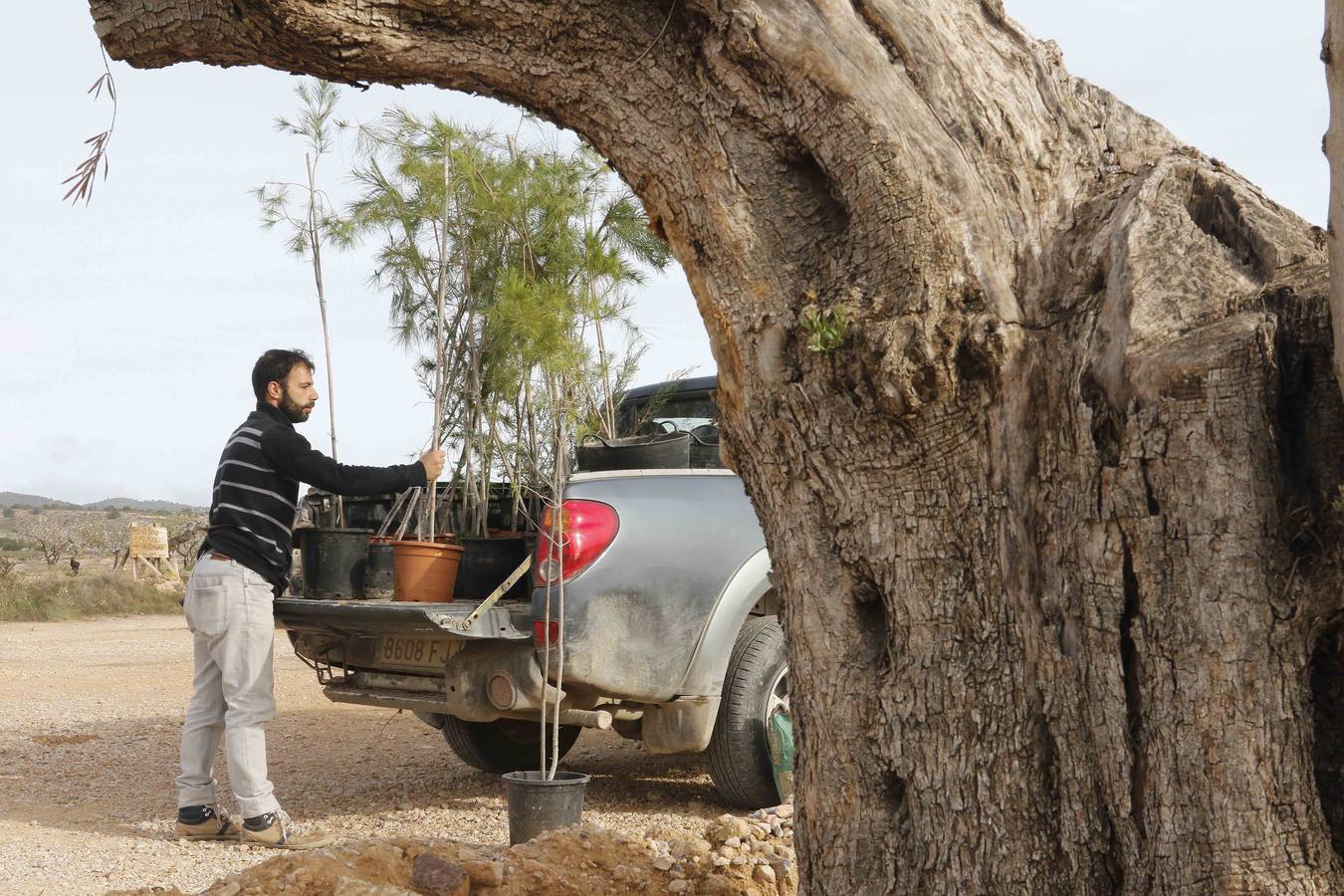 El turismo florece en el Campo de Murcia