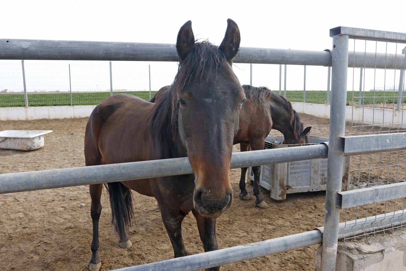 El turismo florece en el Campo de Murcia