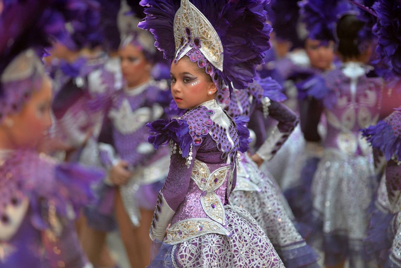 Belleza y plumas contra el viento