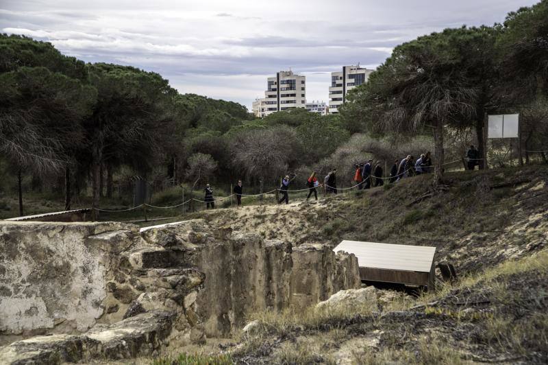 Visita de la directora general de Cultura al Parque Arqueológico de Guardamar