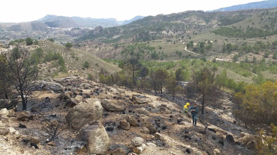 Incendio en La Atalaya, en Cieza, que se pudo sofocar antes de que el viento avivara las llamas.