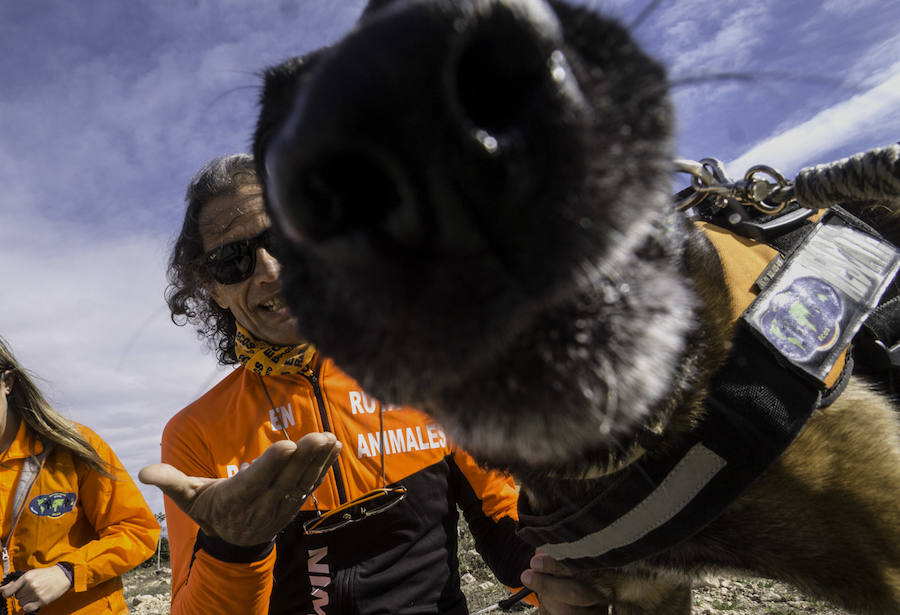 Plantación de árboles en la cantera de Orihuela