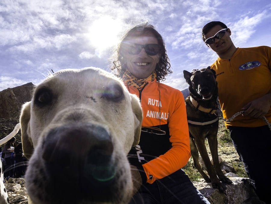 Plantación de árboles en la cantera de Orihuela