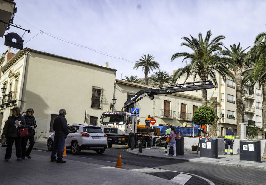 Infraestructuras retira las palmeras muertas de parques y jardines públicos