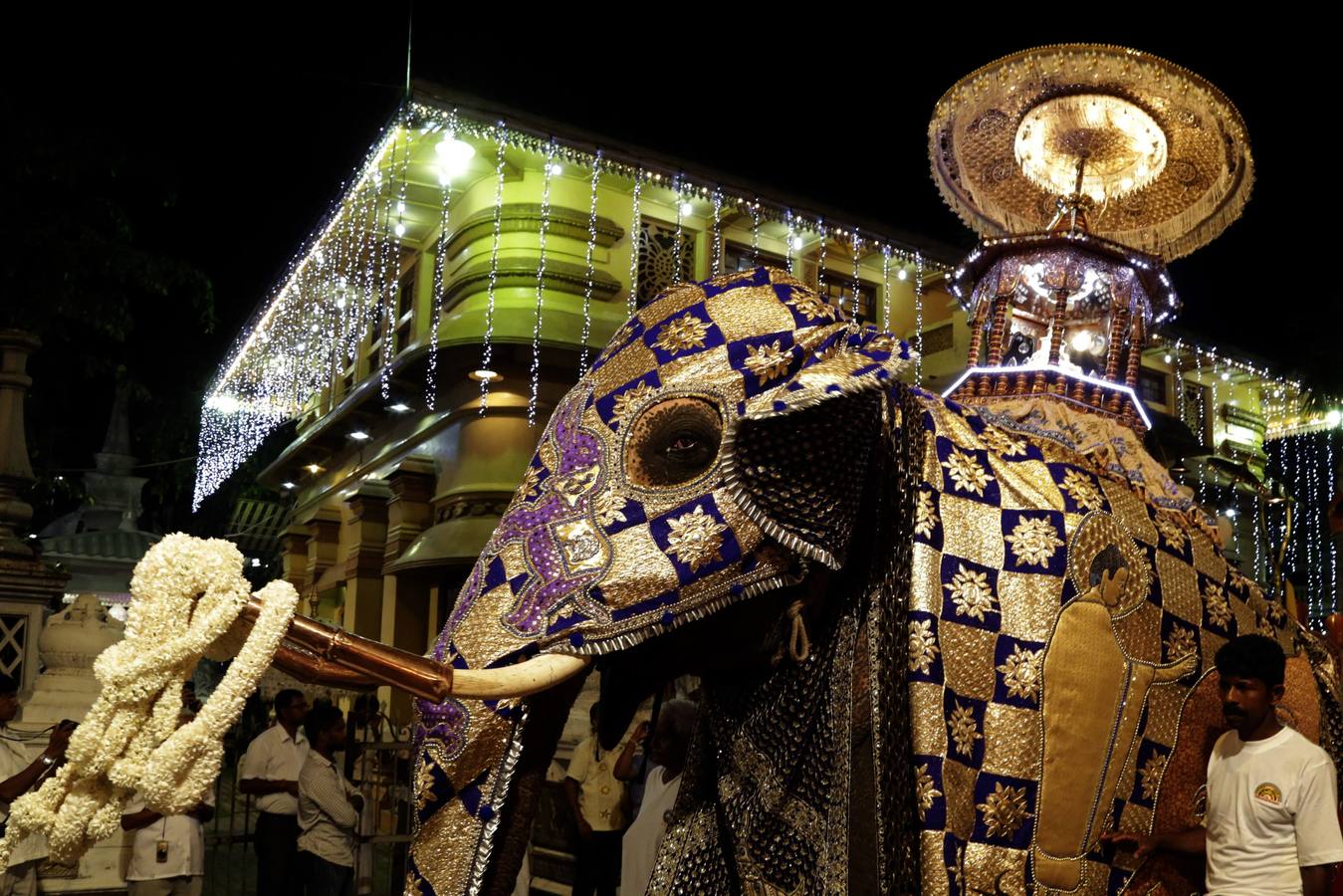 Bailando al son de Buda