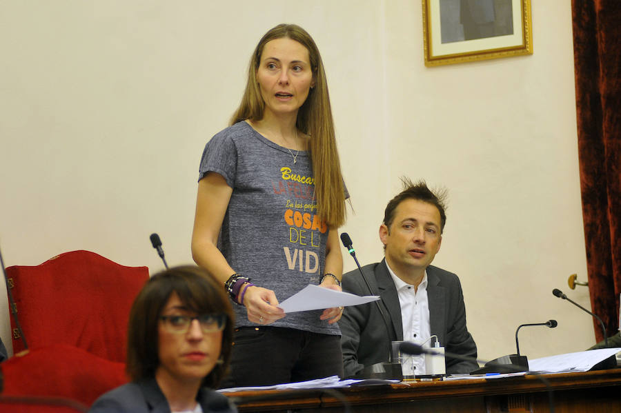 Pleno en el Ayuntamiento de Elche