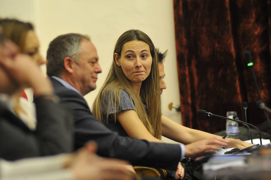 Pleno en el Ayuntamiento de Elche