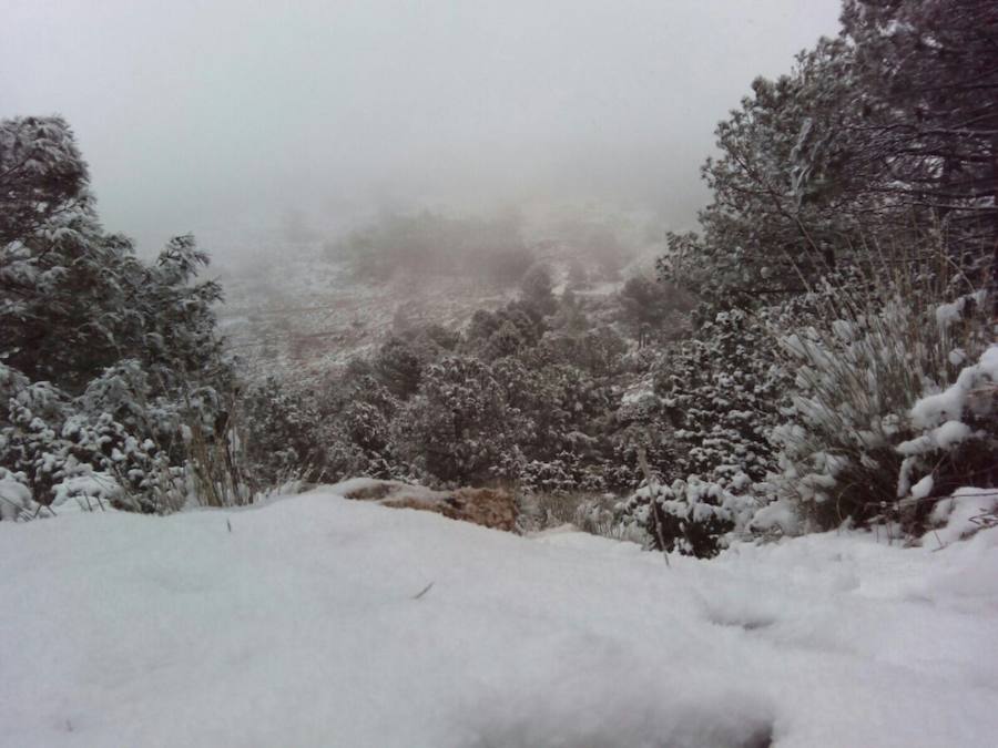 La nieve tiñe las zonas altas de la Región