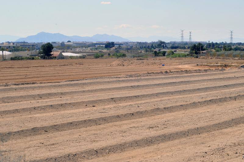 El Parque Empresarial de Elche crecerá hacia el norte con 500.000 m2