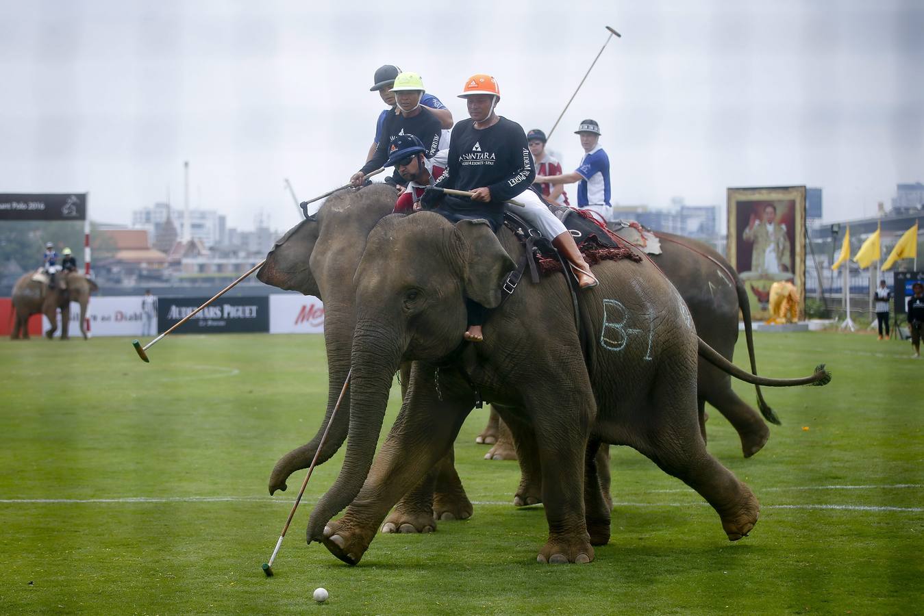 Polo con y para elefantes