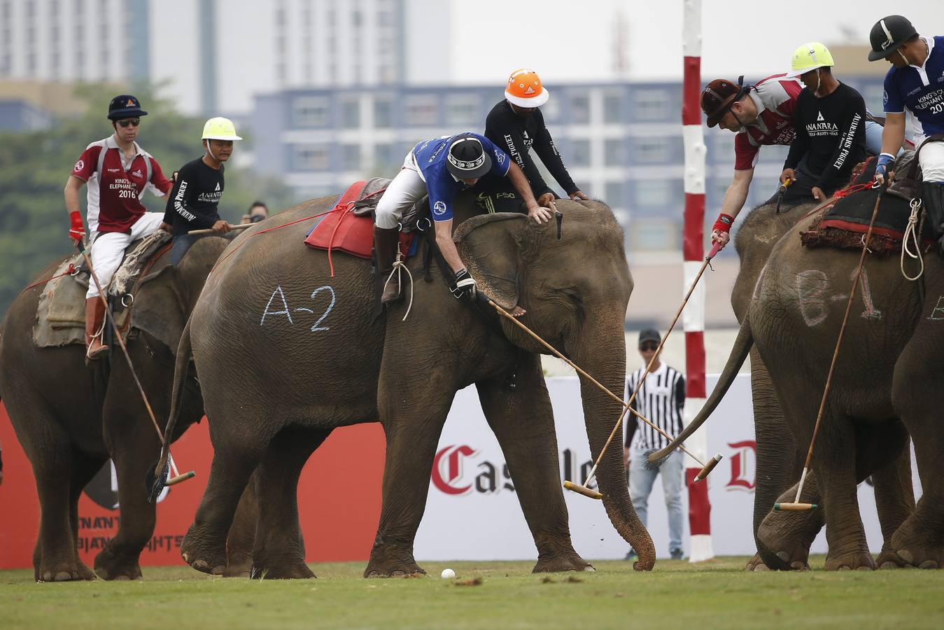 Polo con y para elefantes