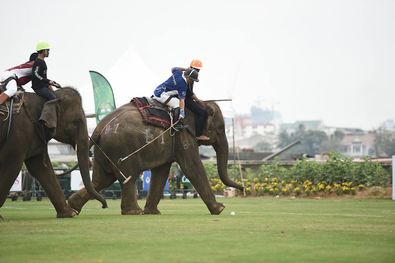 Polo con y para elefantes