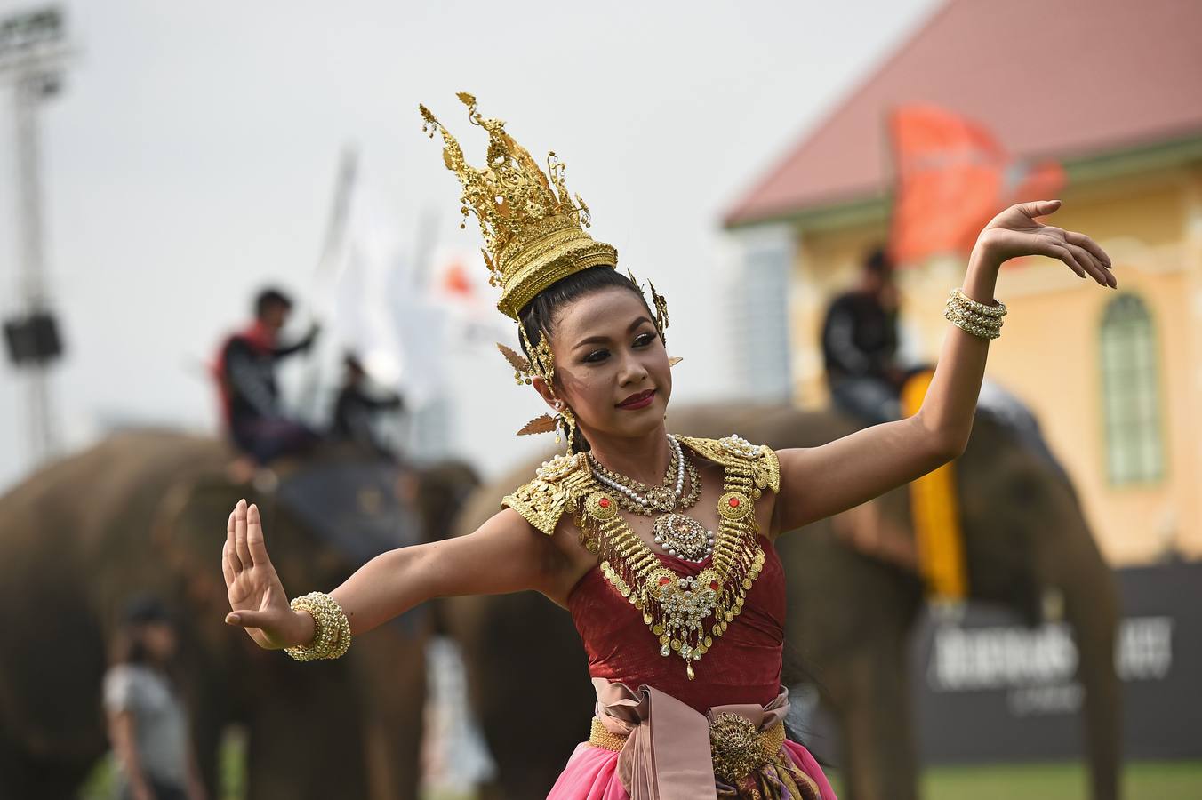 Polo con y para elefantes
