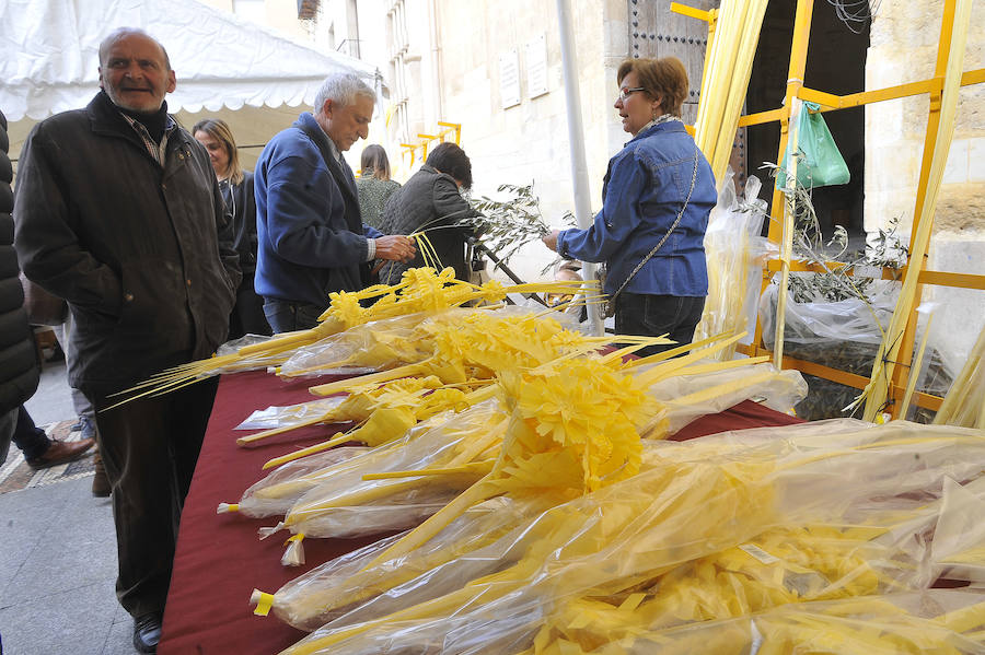 Mercado de la palma blanca