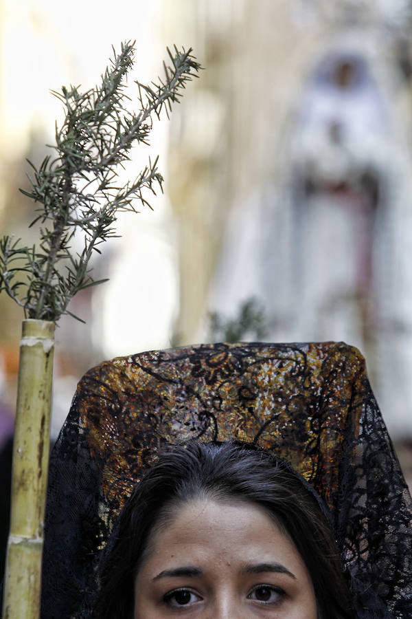 Procesión de Domingo de Ramos en Alicante