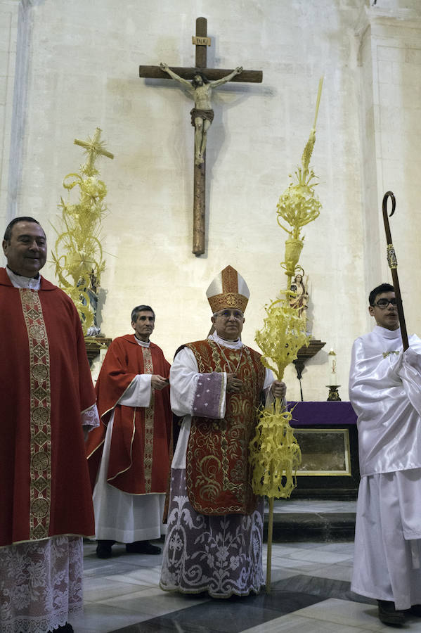 Domingo de Ramos en Alicante