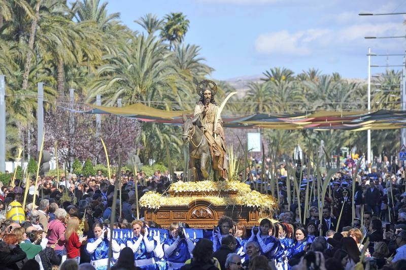 Domingo de Ramos en Elche